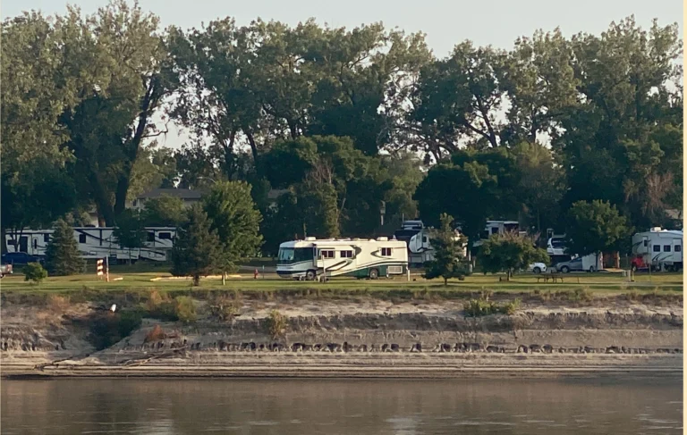 A green and white motorhome sits lit up by the sun along a river bank